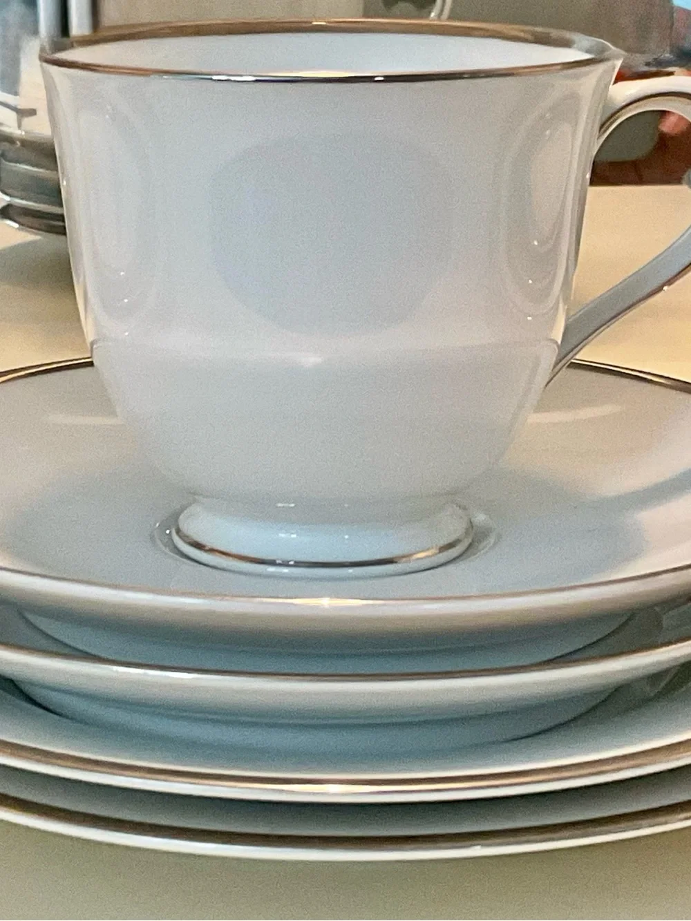 NEW! Nikko Brand Patra “Band of Platinum” – Complete 6‑Place China Setting
